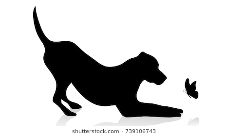 Download Black Lab Vector at Vectorified.com | Collection of Black Lab Vector free for personal use