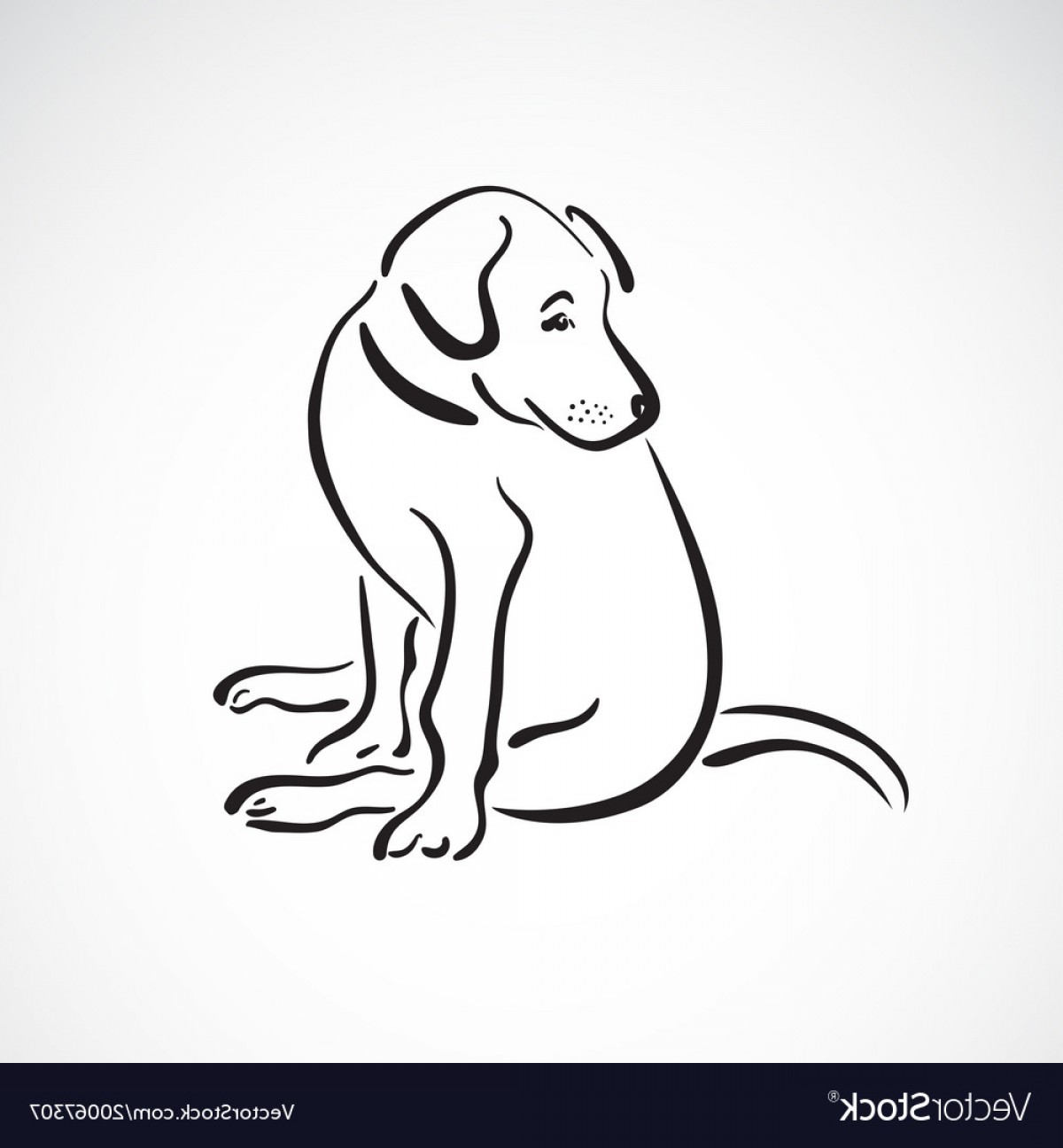1200x1296 Sitting Doglabrador Retriever On White Vector Handandbeak
