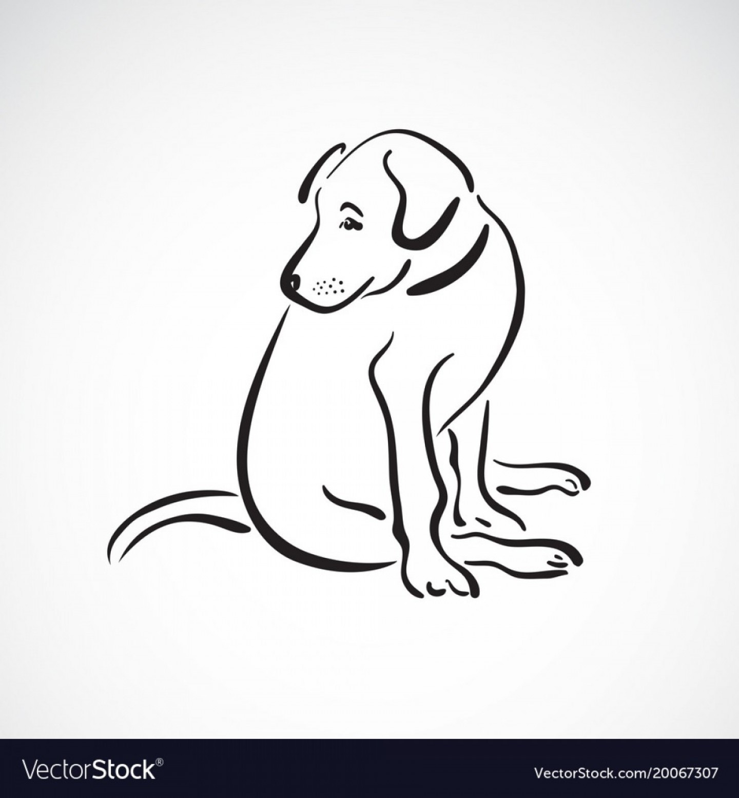 Black Lab Vector at Vectorified.com | Collection of Black Lab Vector