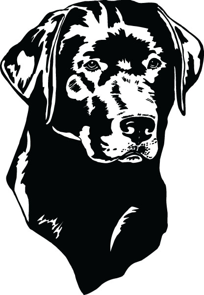 416x600 Black Lab Clip Art