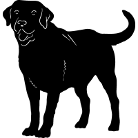 200x200 Black Lab Clip Art Look At Clip Art Images