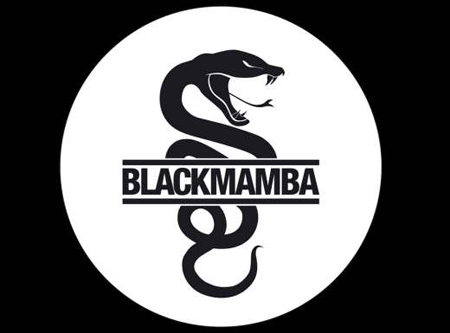 Black Mamba Vector at Vectorified.com | Collection of Black Mamba ...