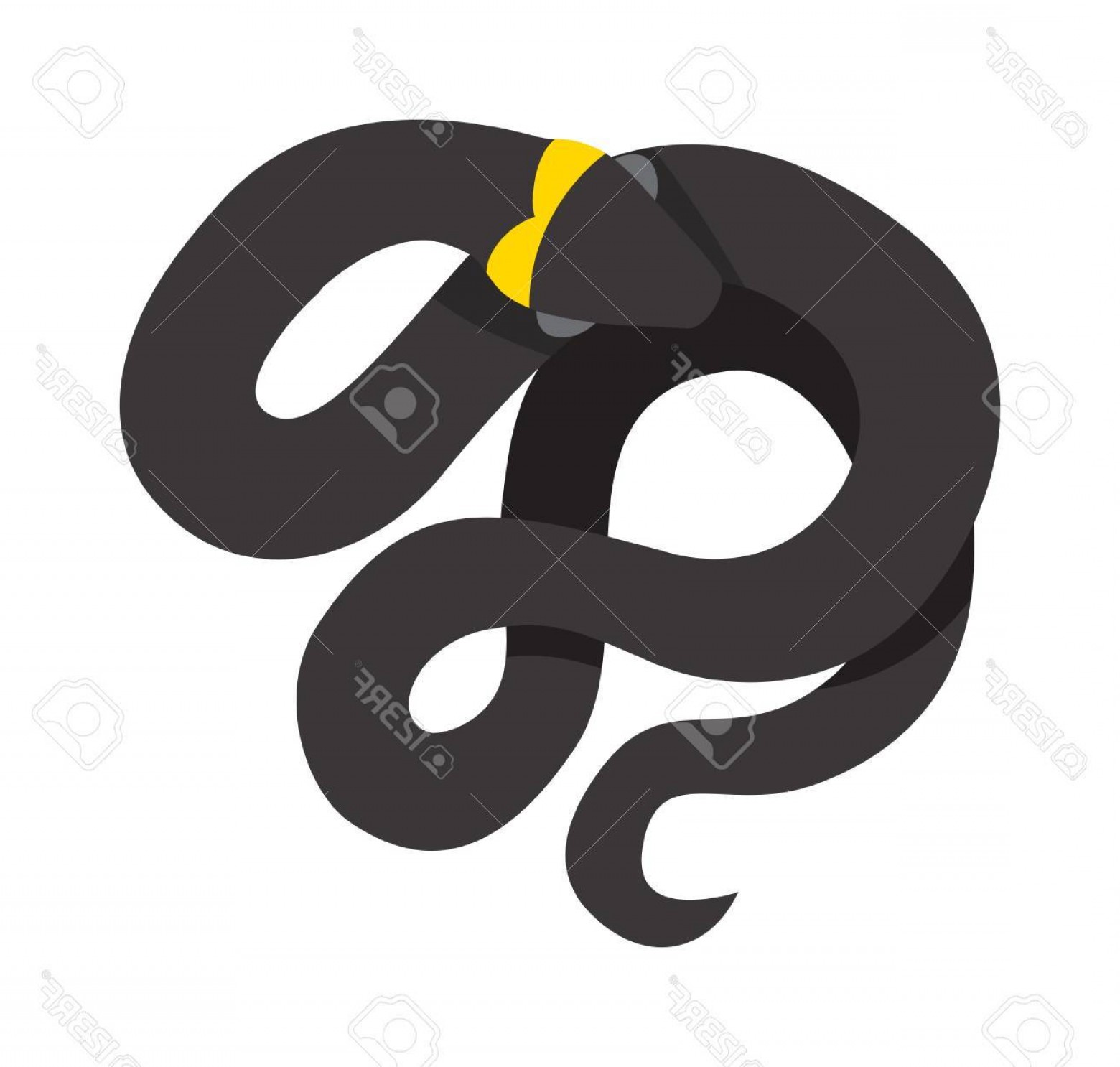 1560x1486 Photostock Vector Black Mamba Uncoiled Reptile Ready To Strike