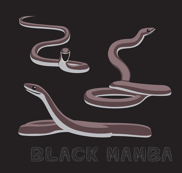 600x569 Snake Black Mamba Cartoon Vector Illustration Art Print