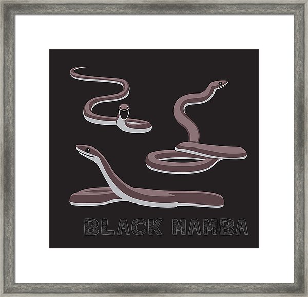 600x578 Snake Black Mamba Cartoon Vector Illustration Framed Print