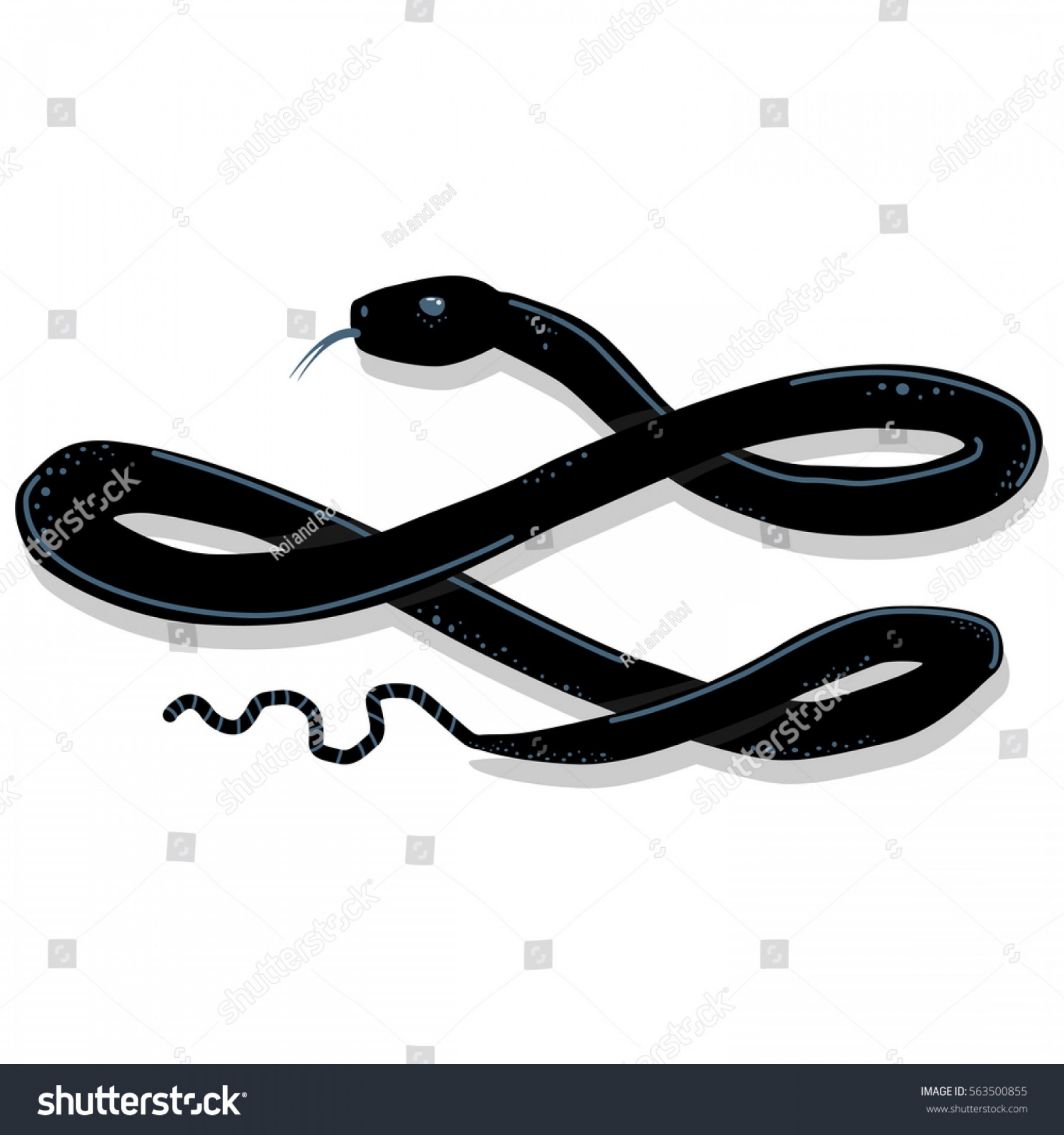 2160x2304 Black Mamba Snake Vector Illustration Isolated Geekchicpro