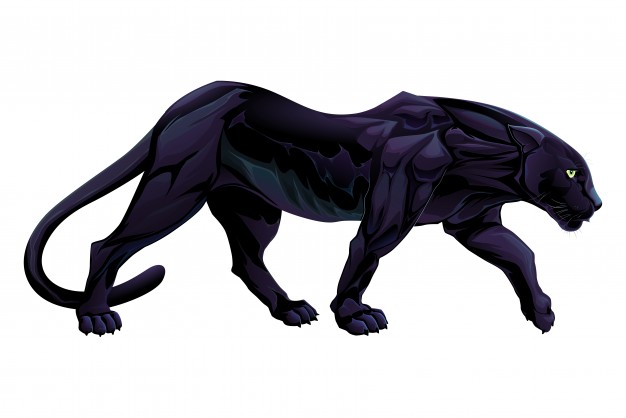 626x418 Panther Vectors, Photos And Free Download