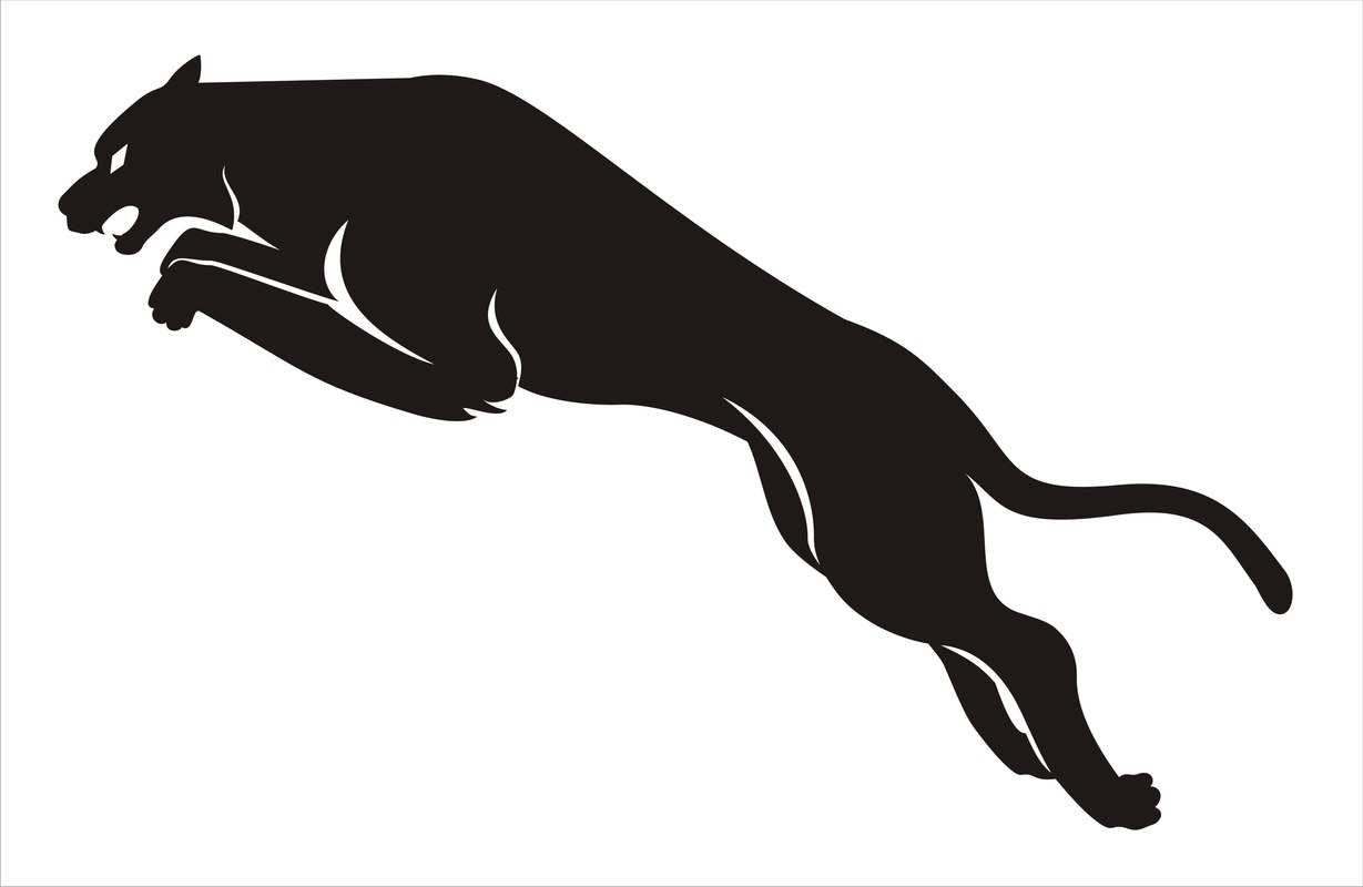1229x800 Shapes Other Panther Black Tiger