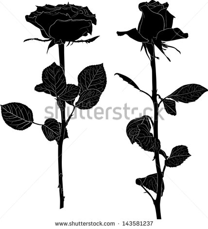 Black Rose Vector