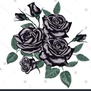 300x300 Black Silhouette Of Roses Vector Illustration Gm Catchsplace