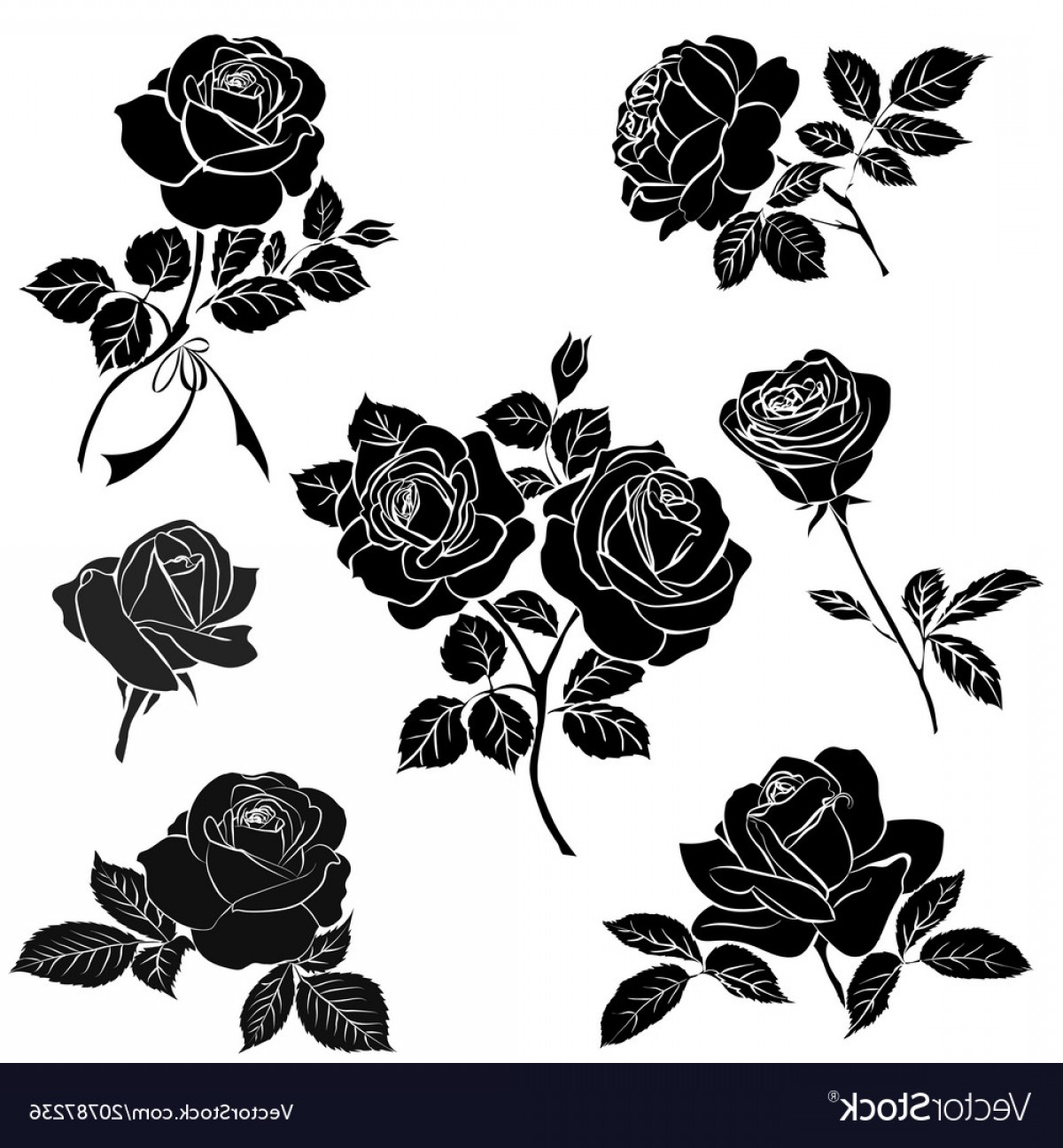 1200x1296 Free Rose Vector Handandbeak
