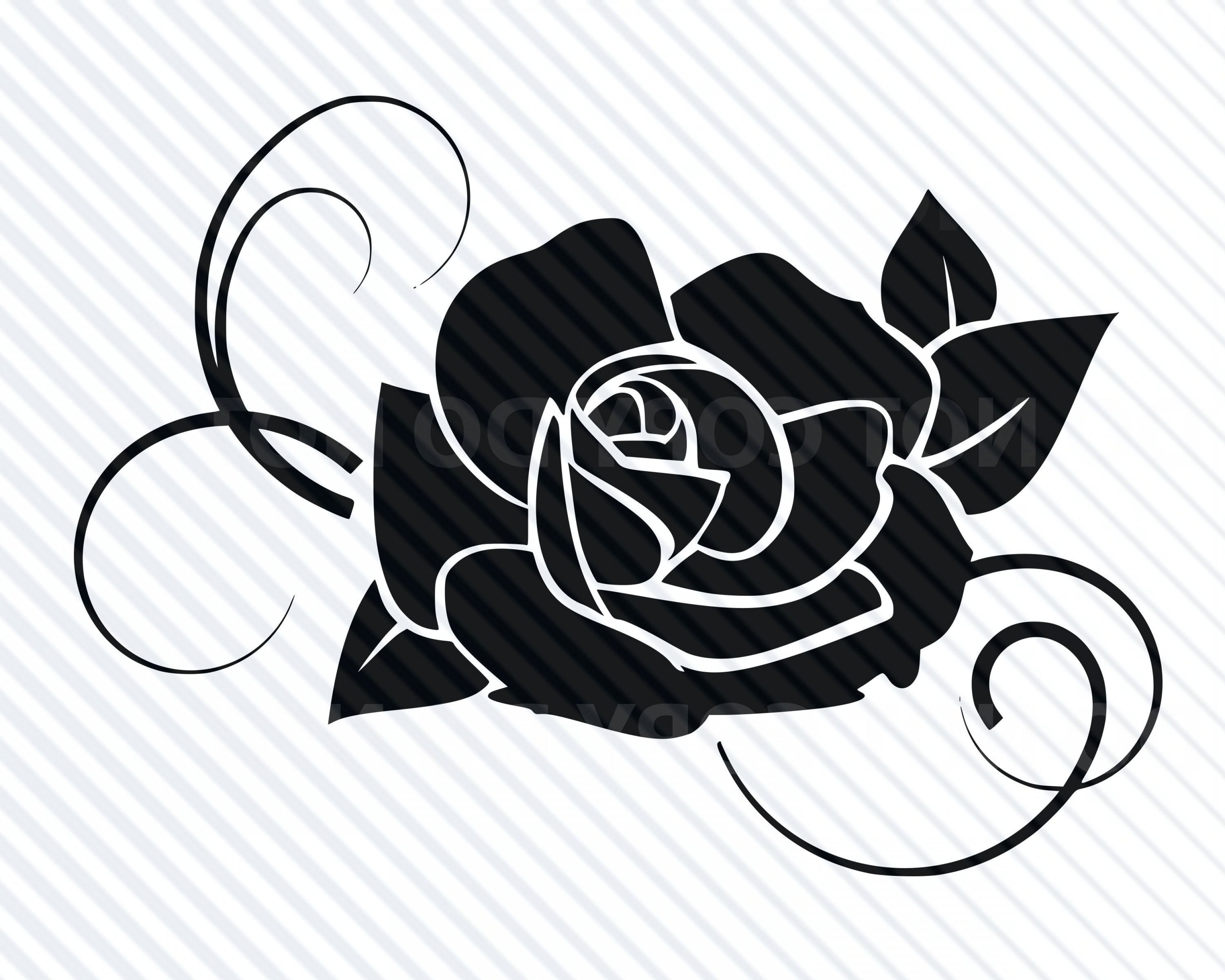 Black Rose Vector At Collection Of Black Rose Vector Free For Personal Use 3723
