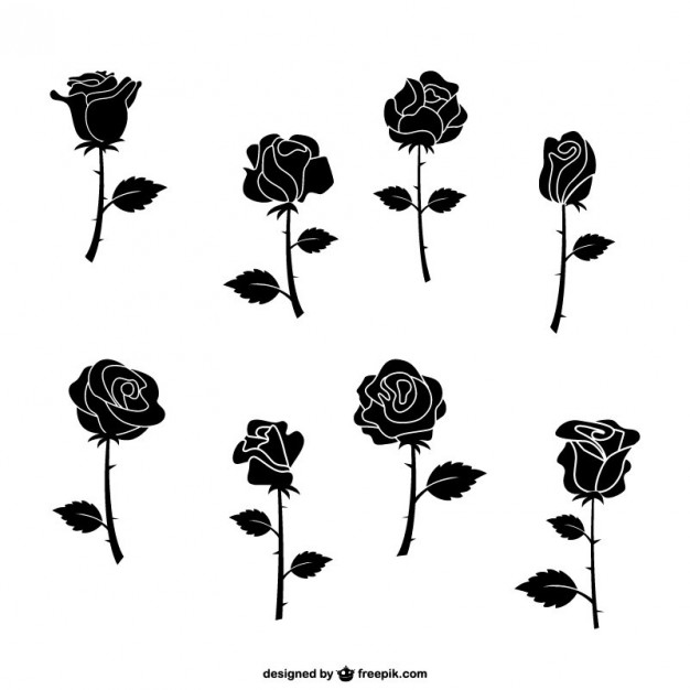 626x626 Rose Vectors, Photos And Free Download