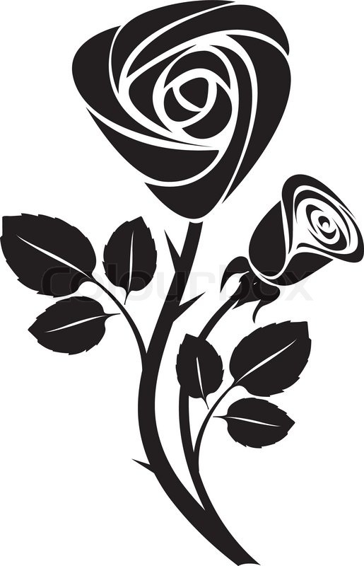 515x800 Sketch Black Rose Art Colorful Vector Stock Vector Colourbox