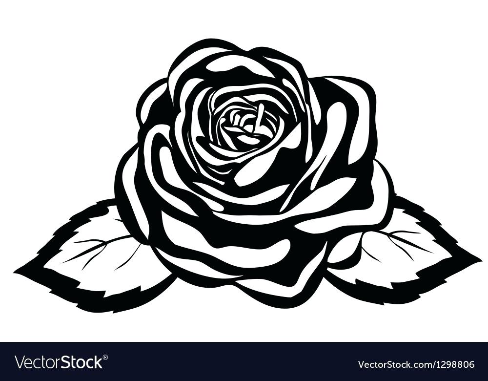 1000x780 Black And White Flower Abstract Rose Vector Image Wallpaper