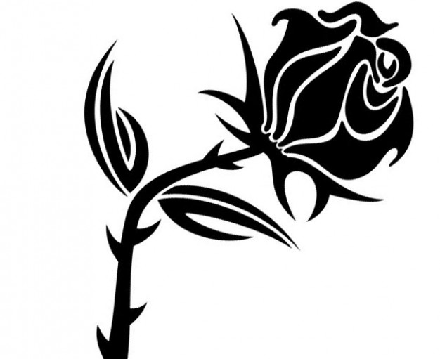 626x511 Black Rose Vector Image Stock Images
