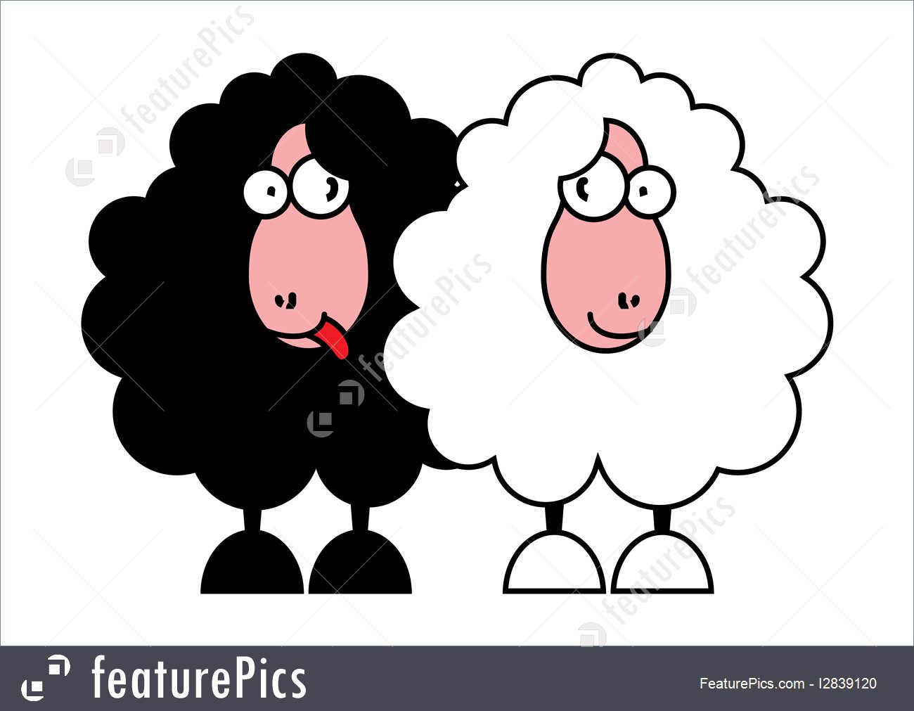 Funny Black And White Sheep Illustration 1300x1011 Funny Black And White Sheep Illustration