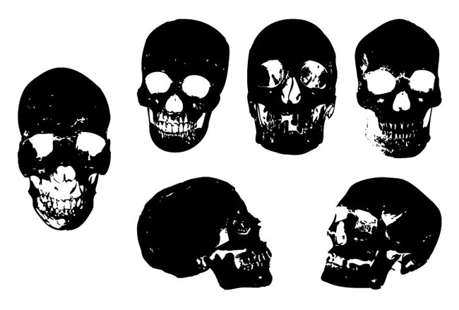 650x439 Skull Vector Package