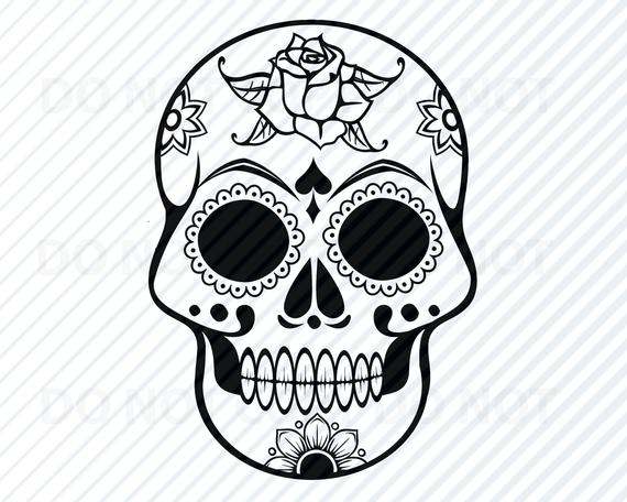 570x456 Sugar Skull Day Of The Dead Skull Vector Images Etsy