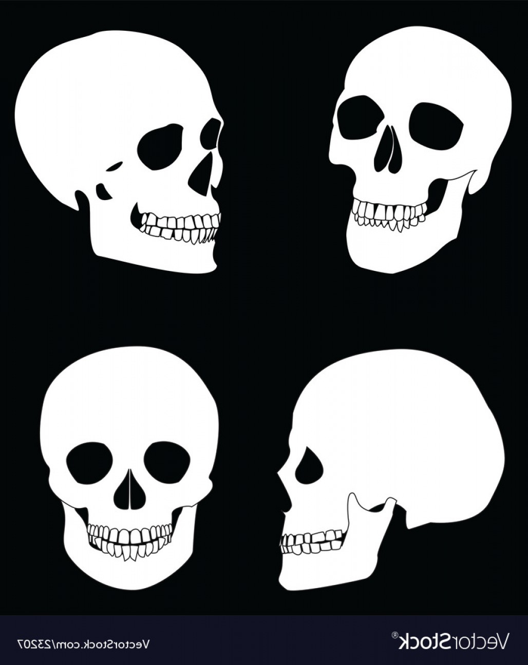 1028x1296 The Black And White Skull Vector Soidergi