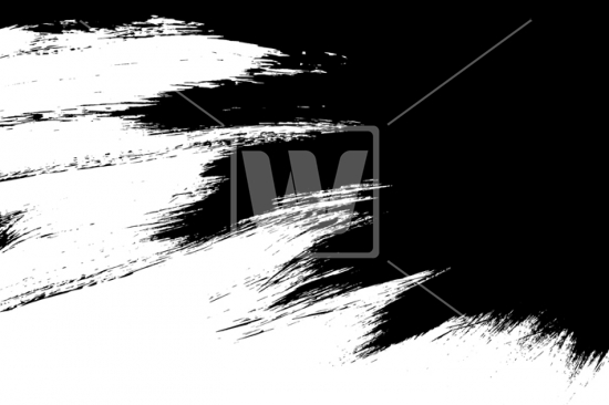 550x366 Black Vector Paint