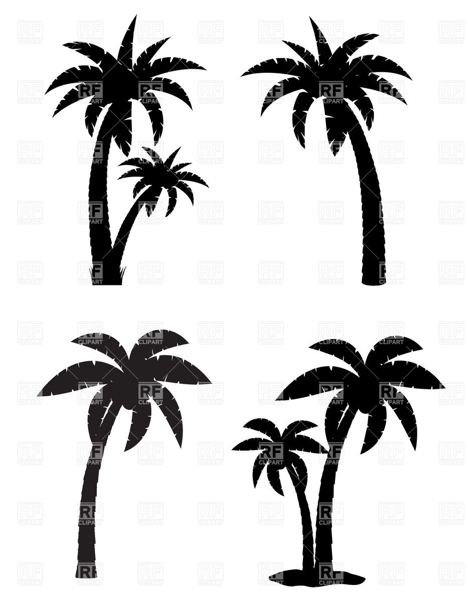 Palm Tropical Tree 933x1200 Palm Tropical Tree