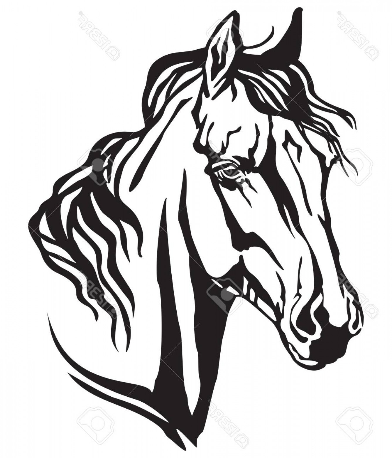 Photostock Vector Decorative Portrait In Profile Of Arabian Horse 1336x1560 Photostock Vector Decorative Portrait In Profile Of Arabian Horse