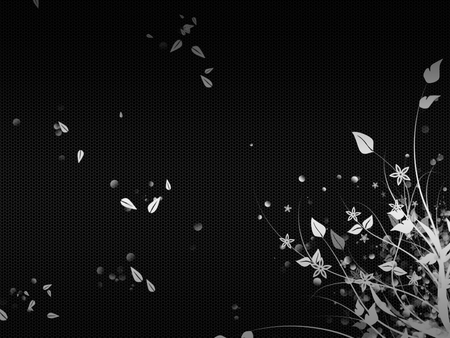 450x338 Black Vector