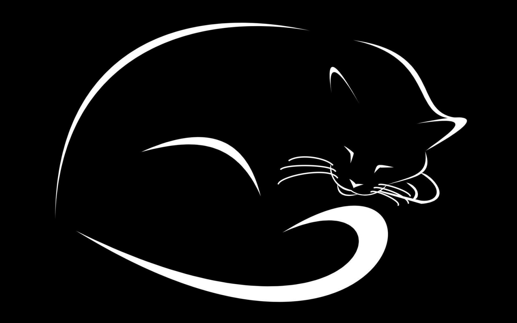 1680x1050 Cat Black Vector Minimalism