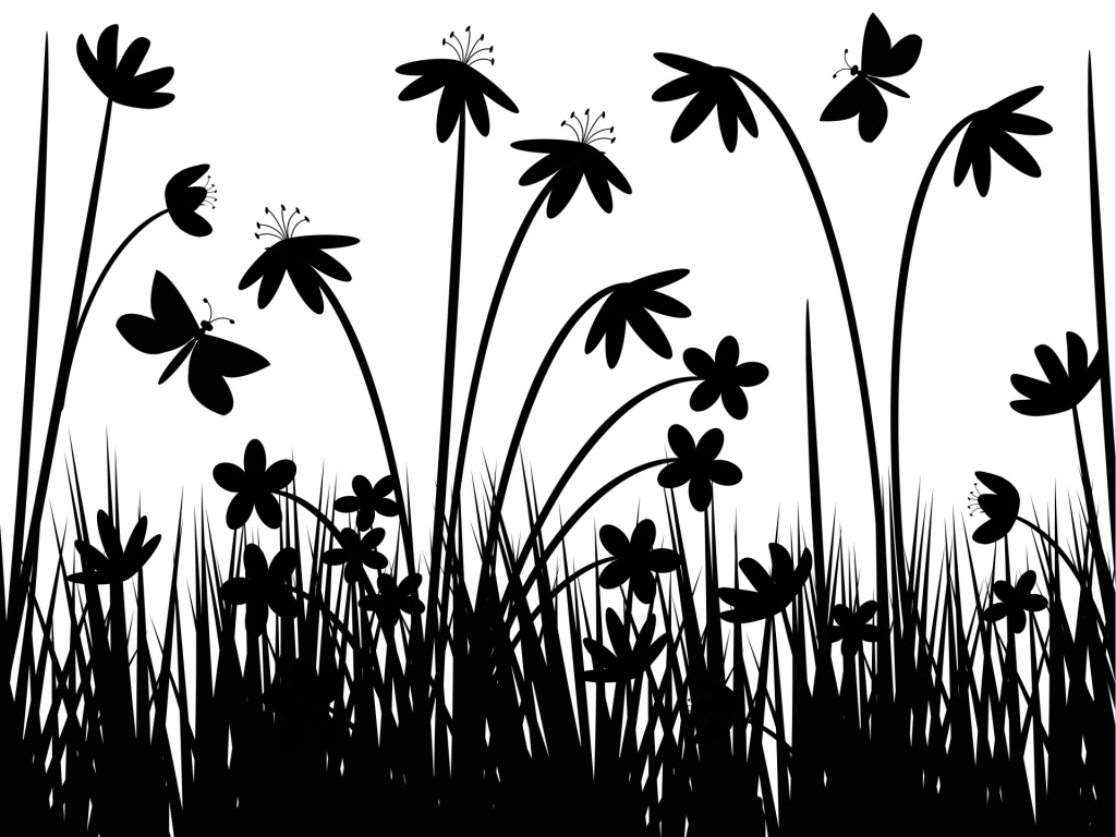 1024x768 Vector Design Flower Black And White Hd Wallpaper Wallpapers Engine