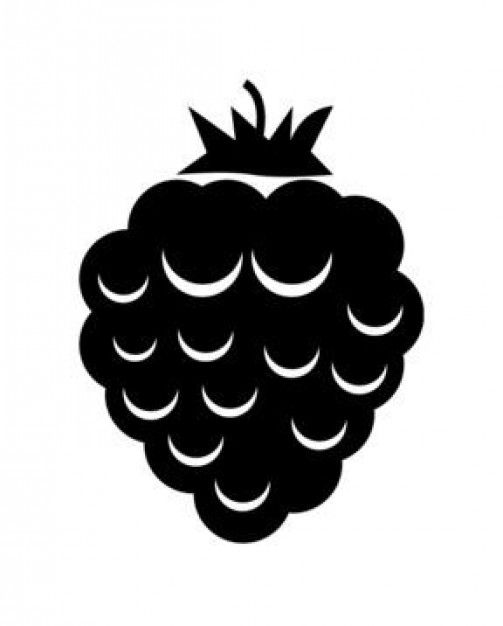 Blackberry Fruit Design Vector Icons, Vector Free, Icon Design 503x626 Blackberry Fruit Design Vector Icons, Vector Free, Icon Design