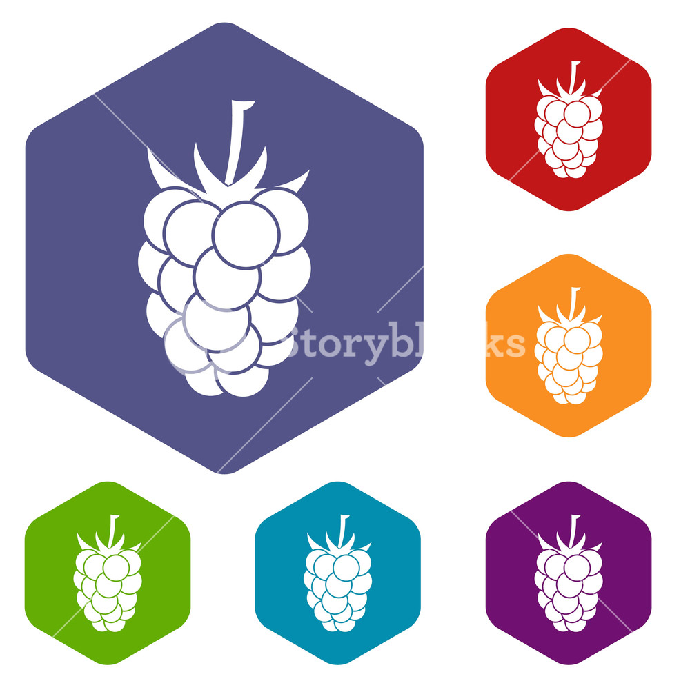 Blackberry Fruit Icons Set Hexagon Isolated Vector Illustration 1000x1000 Blackberry Fruit Icons Set Hexagon Isolated Vector Illustration