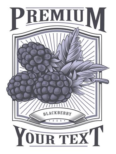 Blackberry Vector Vintage Label 371x490 Blackberry Vector Vintage Label