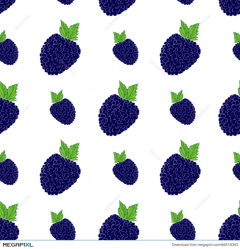 Fruit Background Seamless Pattern With Hand Drawn Skech Blackberry 800x830 Fruit Background Seamless Pattern With Hand Drawn Skech Blackberry