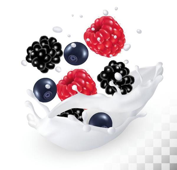 Raspberry And Blueberry With Blackberry With Splash Milk Vector 600x578 Raspberry And Blueberry With Blackberry With Splash Milk Vector