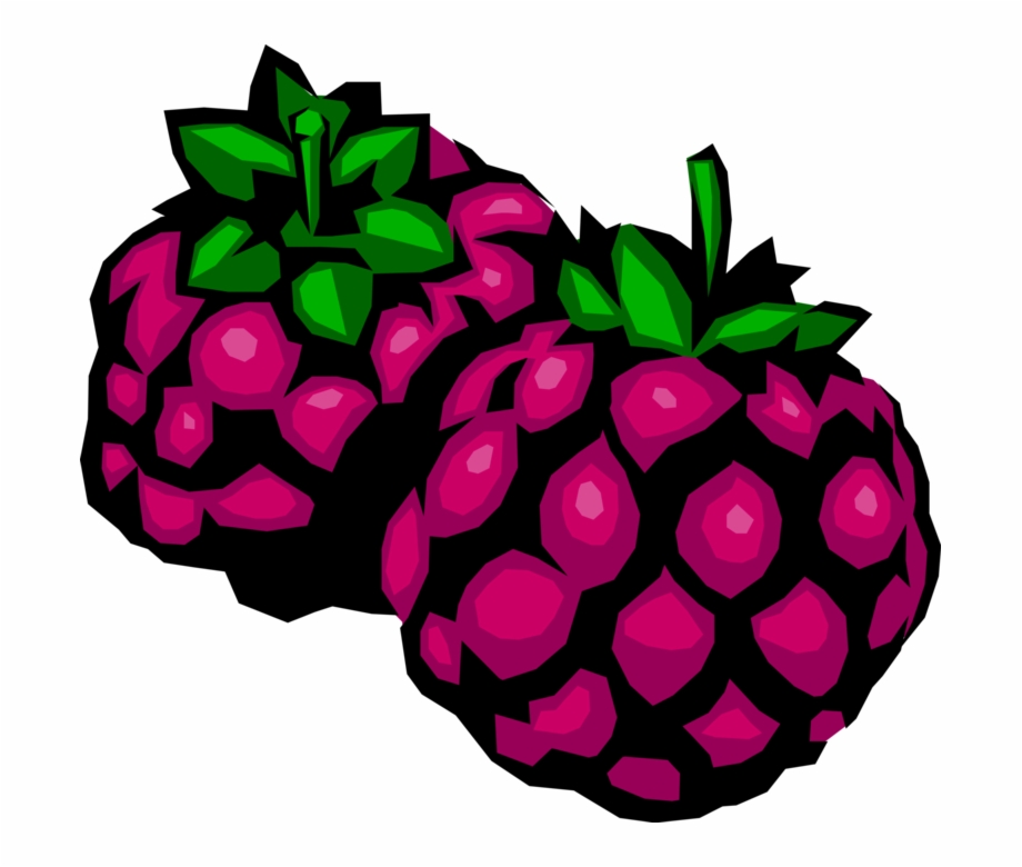 Free Free Blackberry Fruit Svg 578 SVG PNG EPS DXF File
