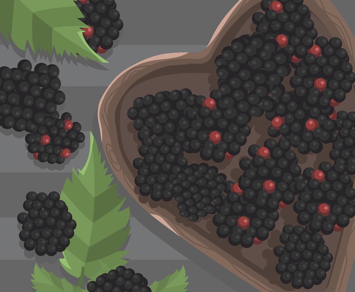 Blackberry Fruit Vector Vector Art Graphics 1136x936 Blackberry Fruit Vector Vector Art Graphics