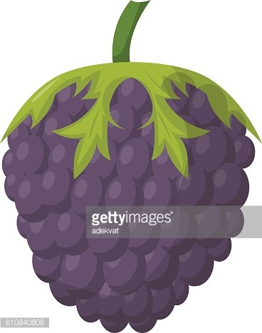 368x467 Blackberry Vector Premium Clipart