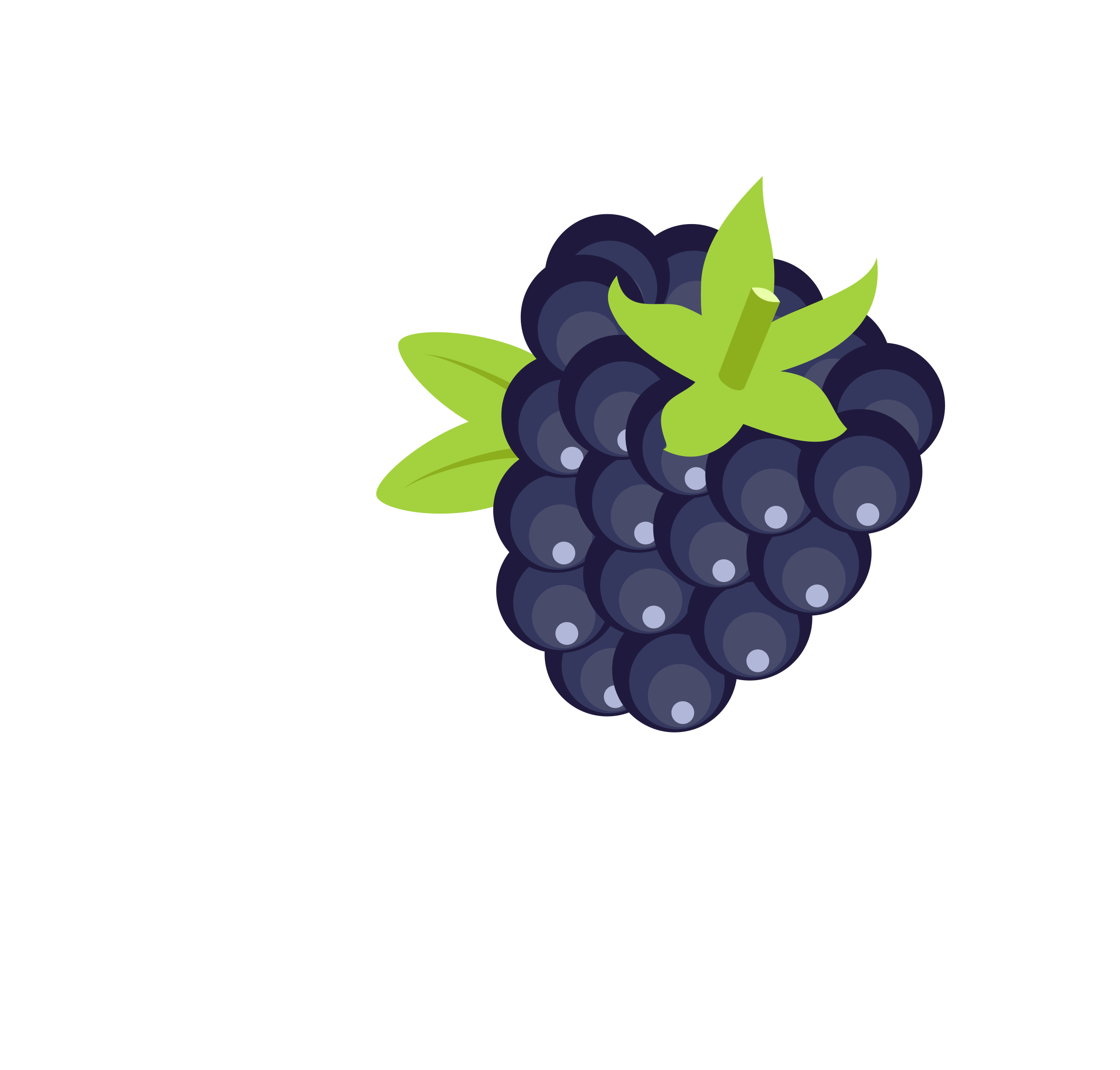 2400x2292 Blackberry Vector Clipart Image