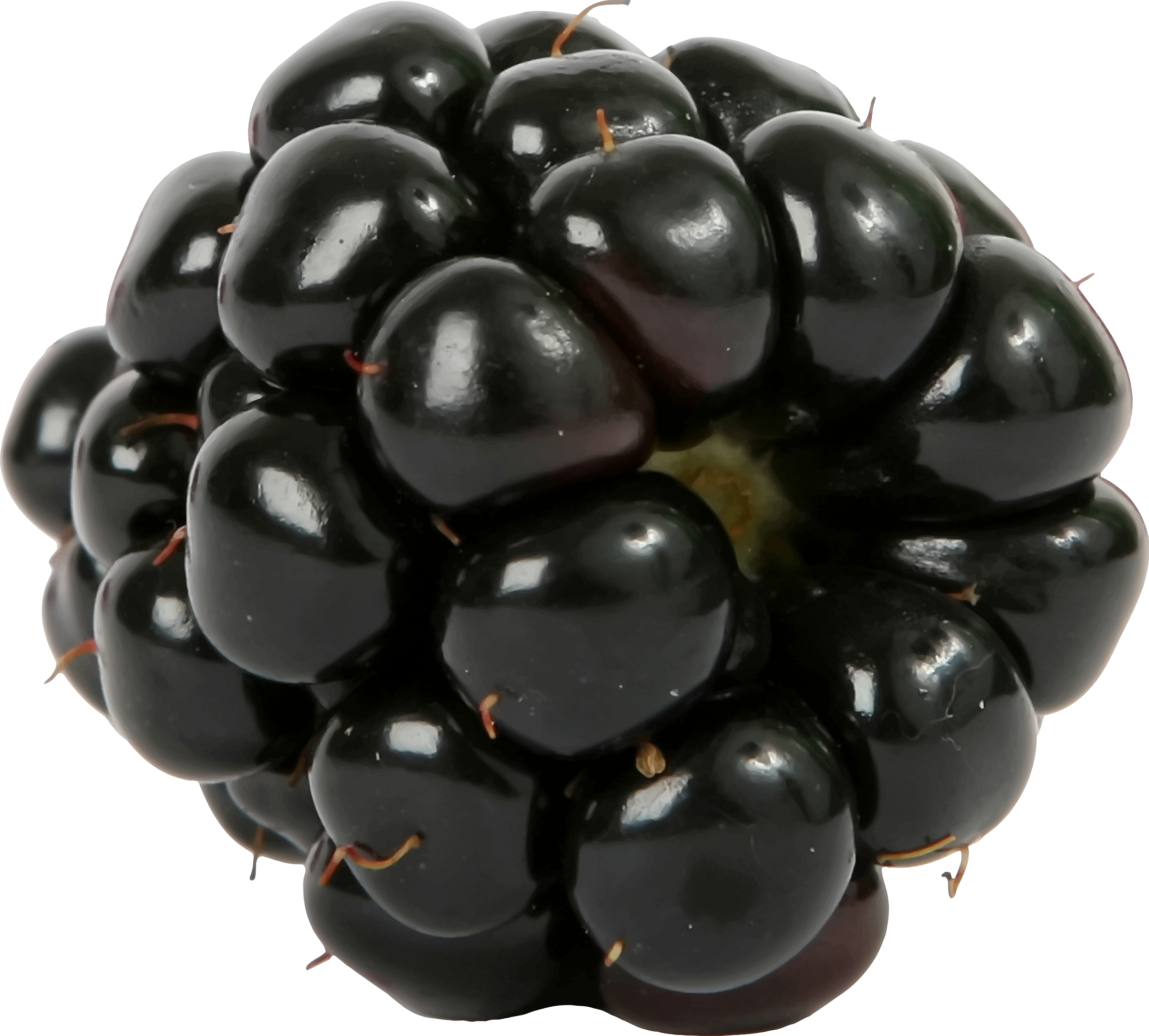 Черный фрукт название. Черный фрукт. Фрукты ежевика. Ягоды черного цвета. Ежевика ягода.