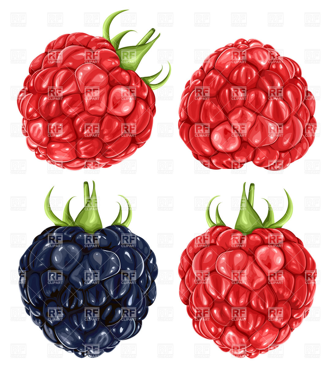 1094x1200 Raspberries And Blackberry Vector Image Of Food And Beverages