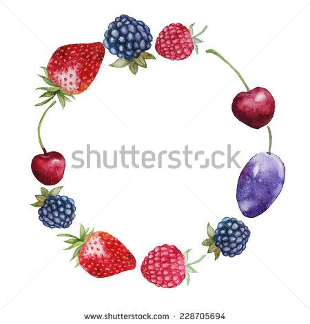 450x470 Various Fresh Berry Frame Watercolor Hand Drawn Wreath With Plum