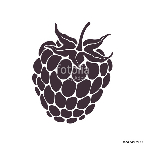 500x500 Vector Illustration Silhouette Of Blackberry Or Raspberry Fruit