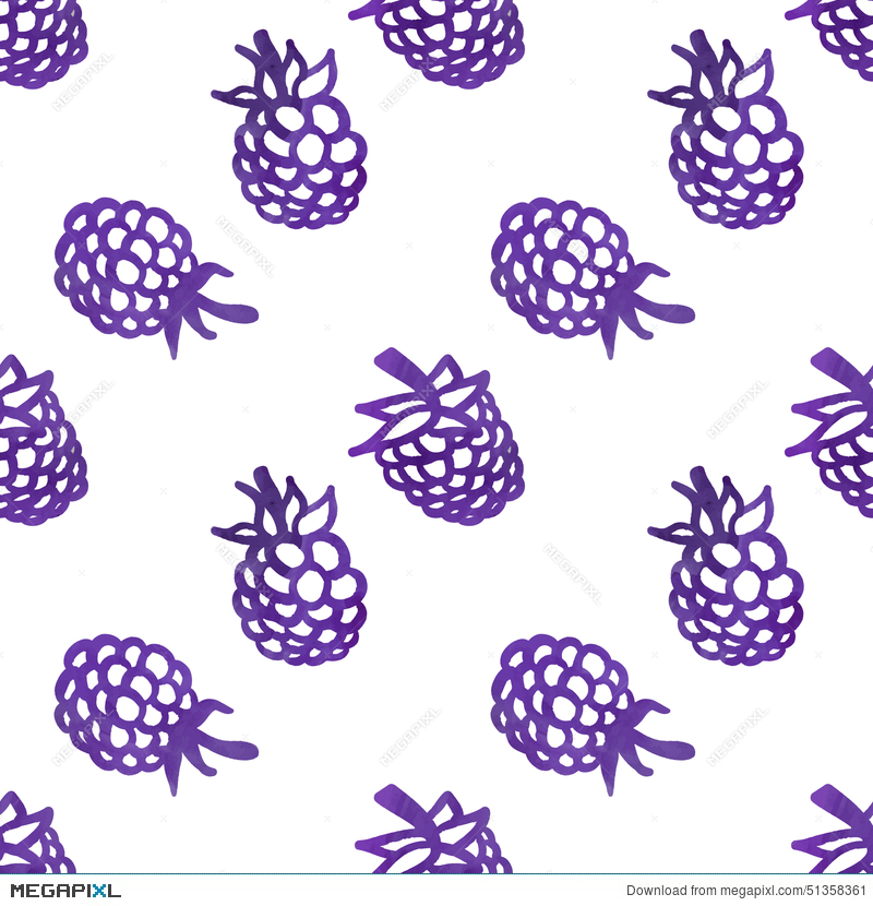 800x830 Watercolor Vintage Blackberry Seamless Vector Pattern Illustration