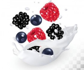 280x235 Blackberry Vector