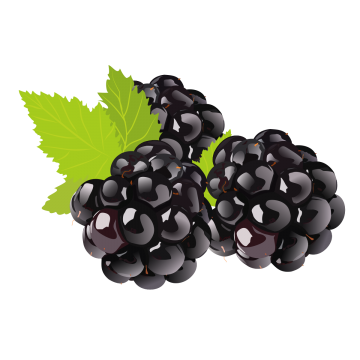 360x360 Blackberry Png Images Vector And Free Download