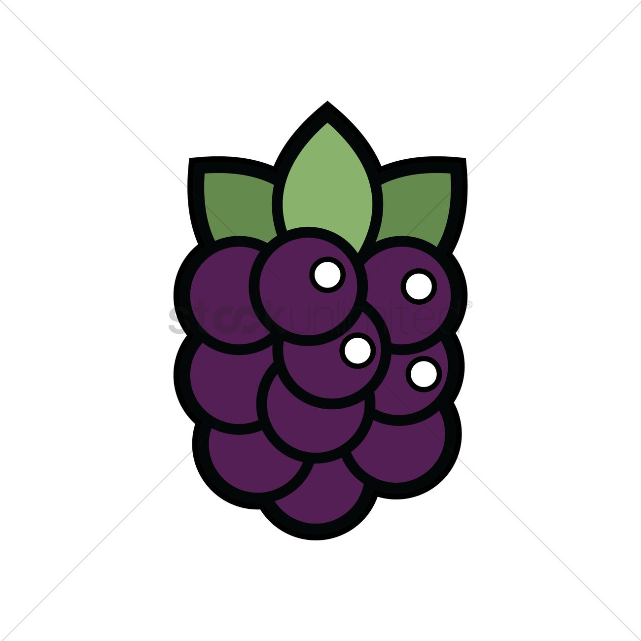 1300x1300 Blackberry Vector Image