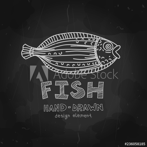 500x500 Hand Drawn Flounder Fish With Fish Label On Blackboard Black