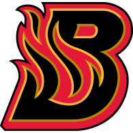 195x195 Bloomington Blaze Brands Of The Download Vector Logos