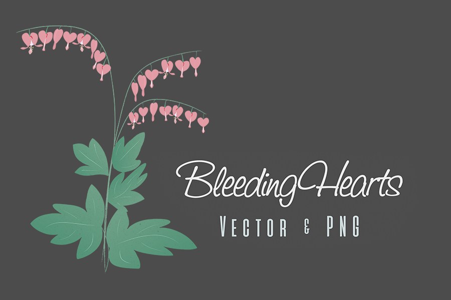 900x600 Bleeding Hearts Free Vector Flowers Free Design Resources